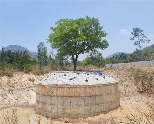 Neem tree in the middle of a future man-made lake, surrounded by a protective fort 
