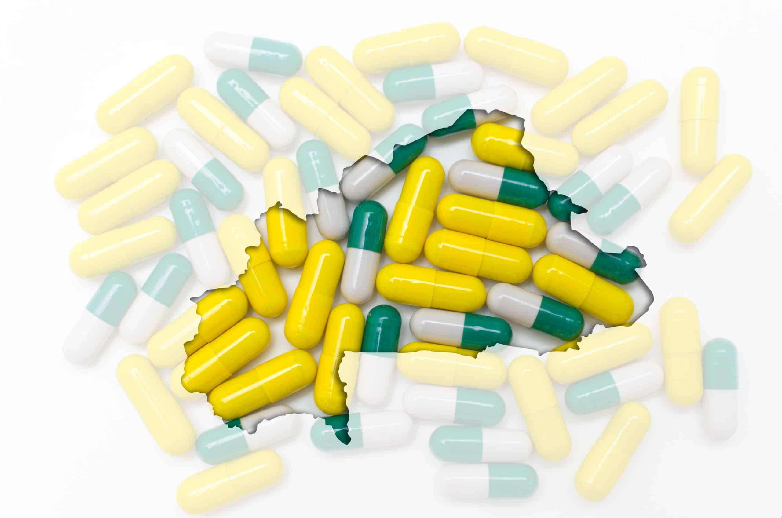 CDDEP_AMR in Burkina Faso