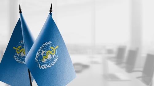 Small flag of the WHO in an office setting