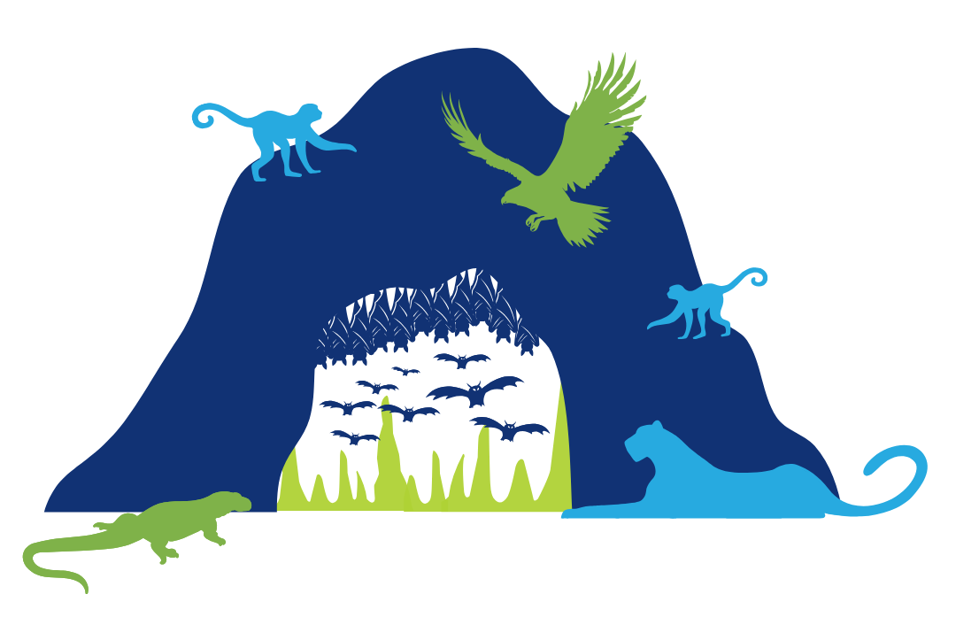 Bat cave with leopard, monitor lizard, blue monkeys, and eagle