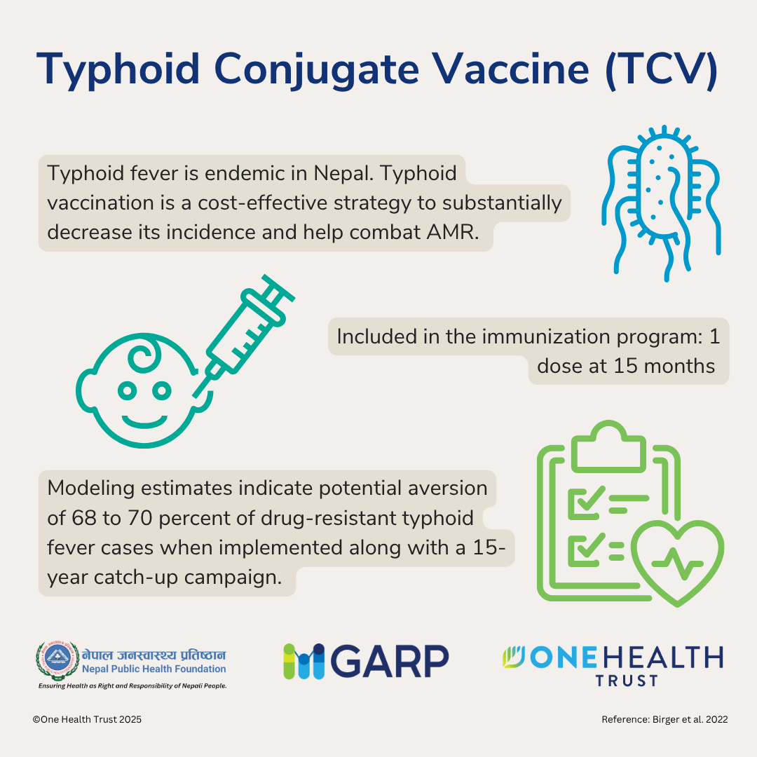 Typhoid Conjugate Vaccine (TCV)