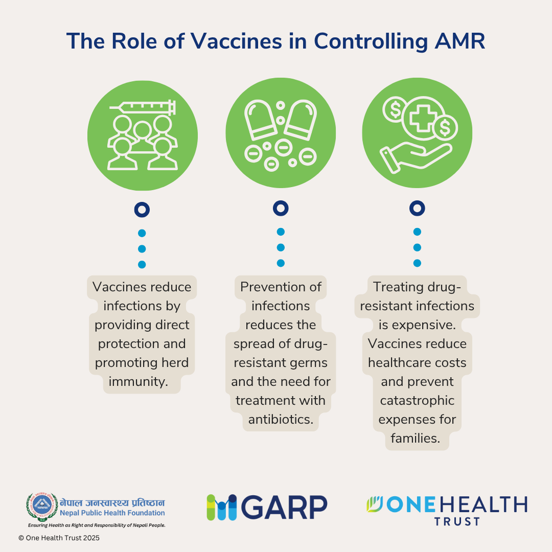 The Role of Vaccines in Controlling AMR