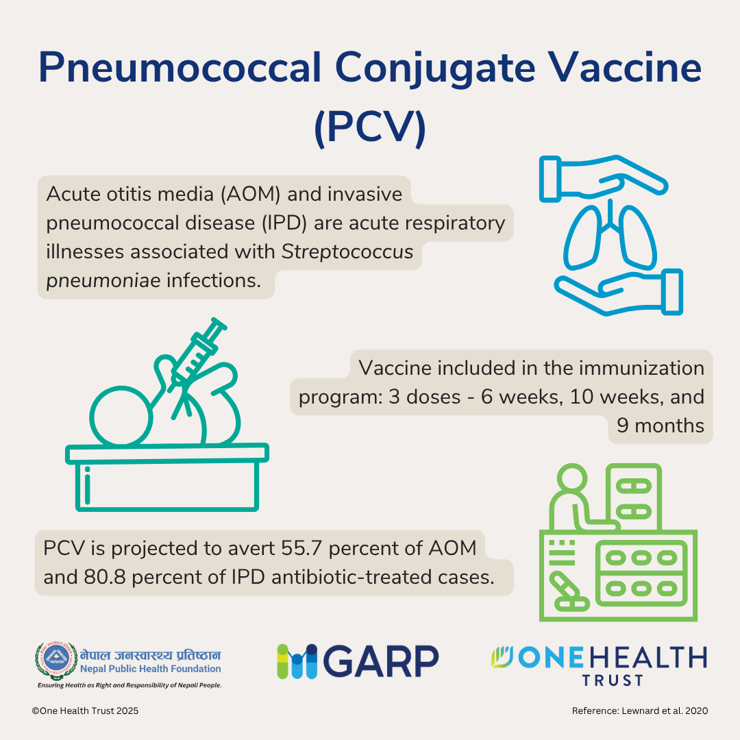 Pneumococcal Conjugate Vaccine (PCV)