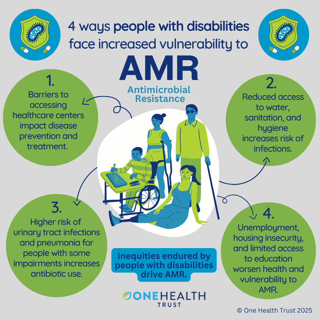 Disability and AMR infographic