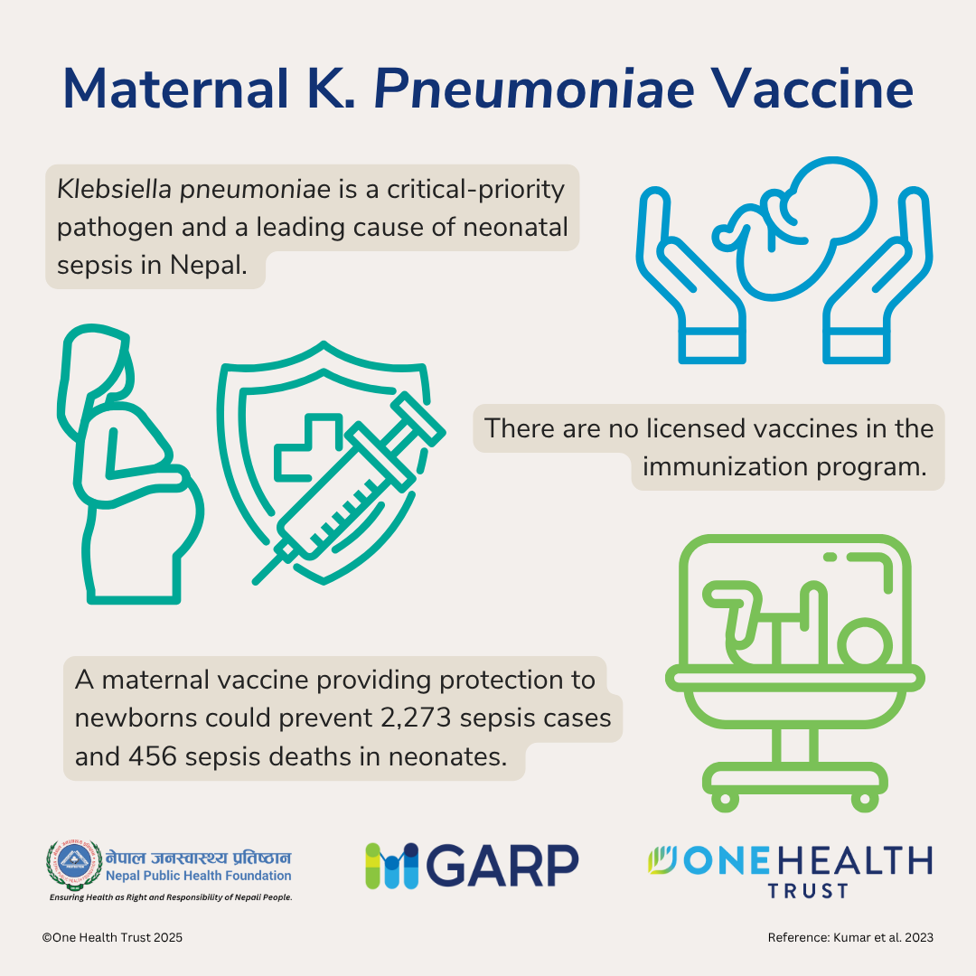 Maternal K. Pneumoniae Vaccine