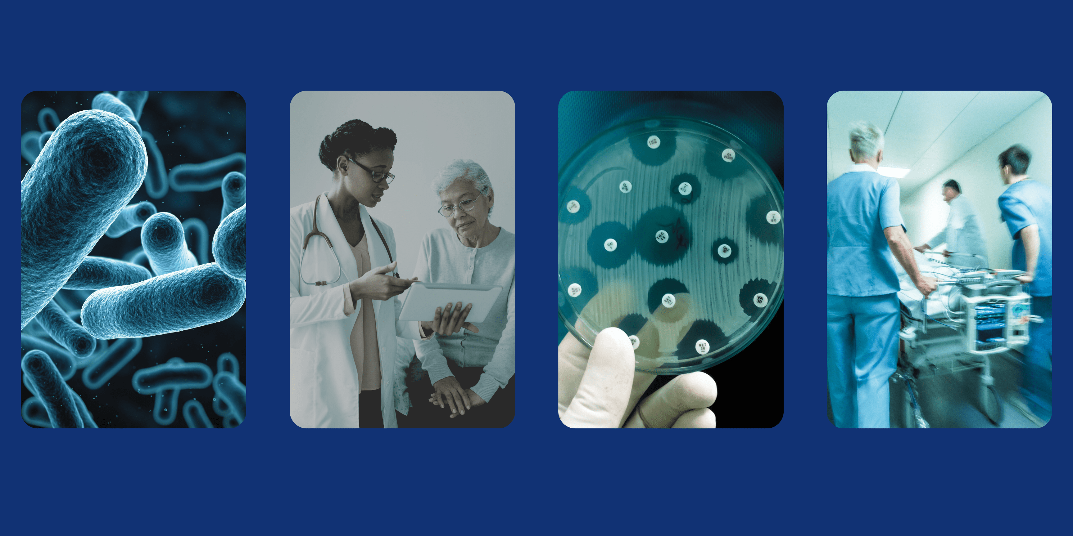 Four images side-by side, bacteria, a patient consultation, growing bacteria in a petri dish, an emergency room scene