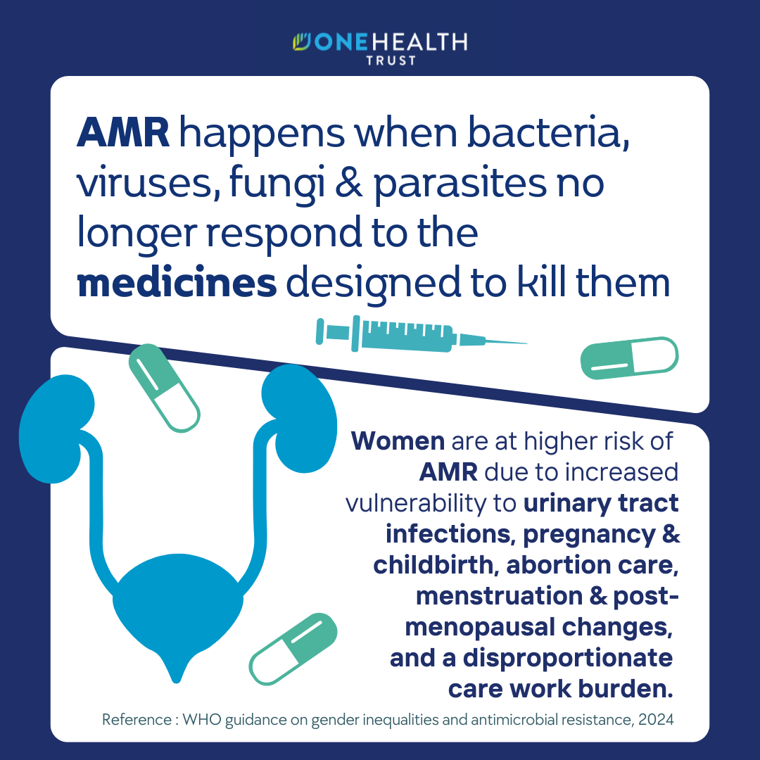 Gender and AMR