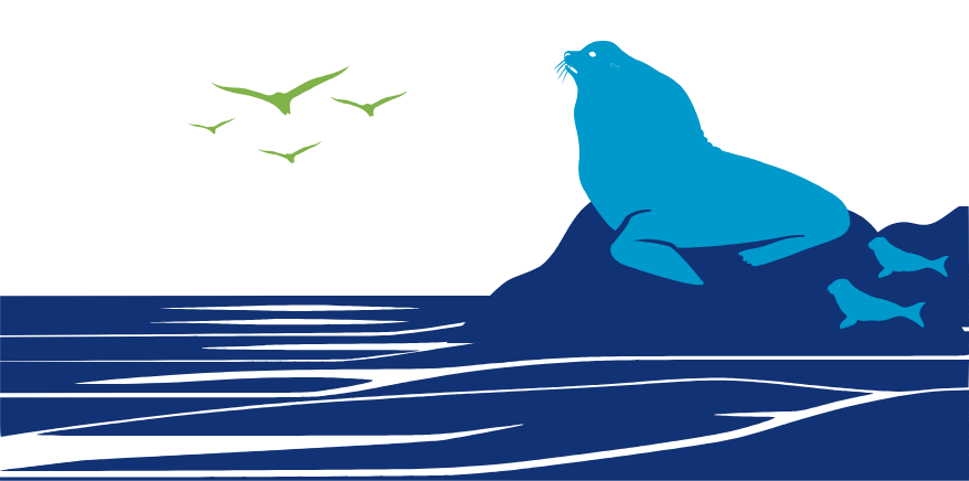 Elephant seal and two pups on a beach with birds in the background