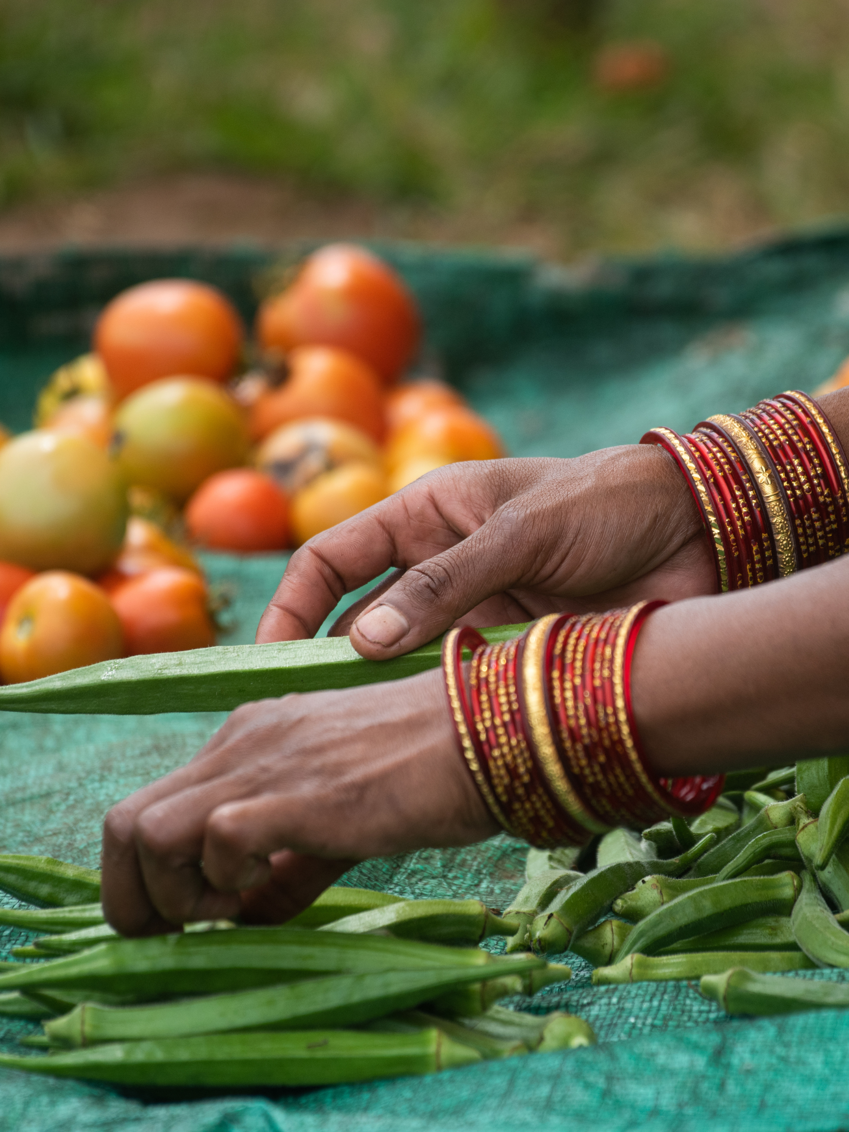 Woman's hands holding vegetables at an Outdoor Indian Market