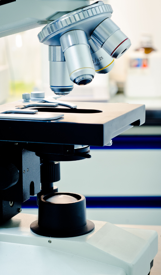 research with microscope